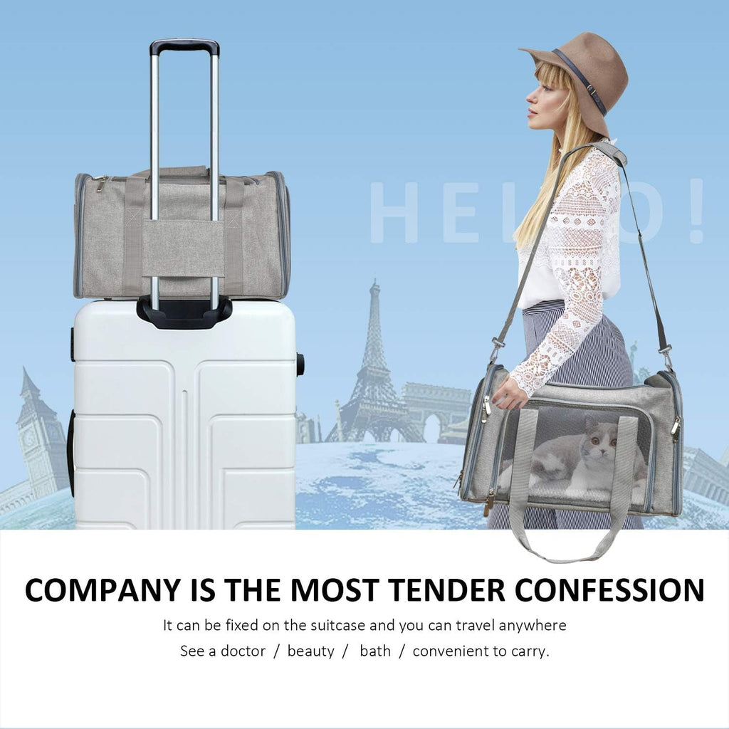 Yileqi Cat, Dog Carrier for Small Medium Cats Puppies up to 15 Lbs, TSA Airline Approved Carrier Soft Sided, Collapsible Travel Puppy Carrier - Grey