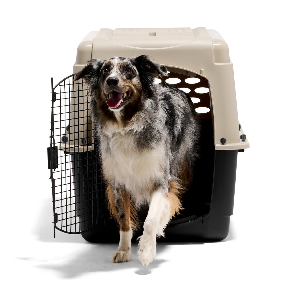 Petmate Vari Dog Kennel Plastic Portable Travel Crate Airline Friendly Pet Carrier, Medium to Large 36" for Pets 50-70 lb, Taupe/Black
