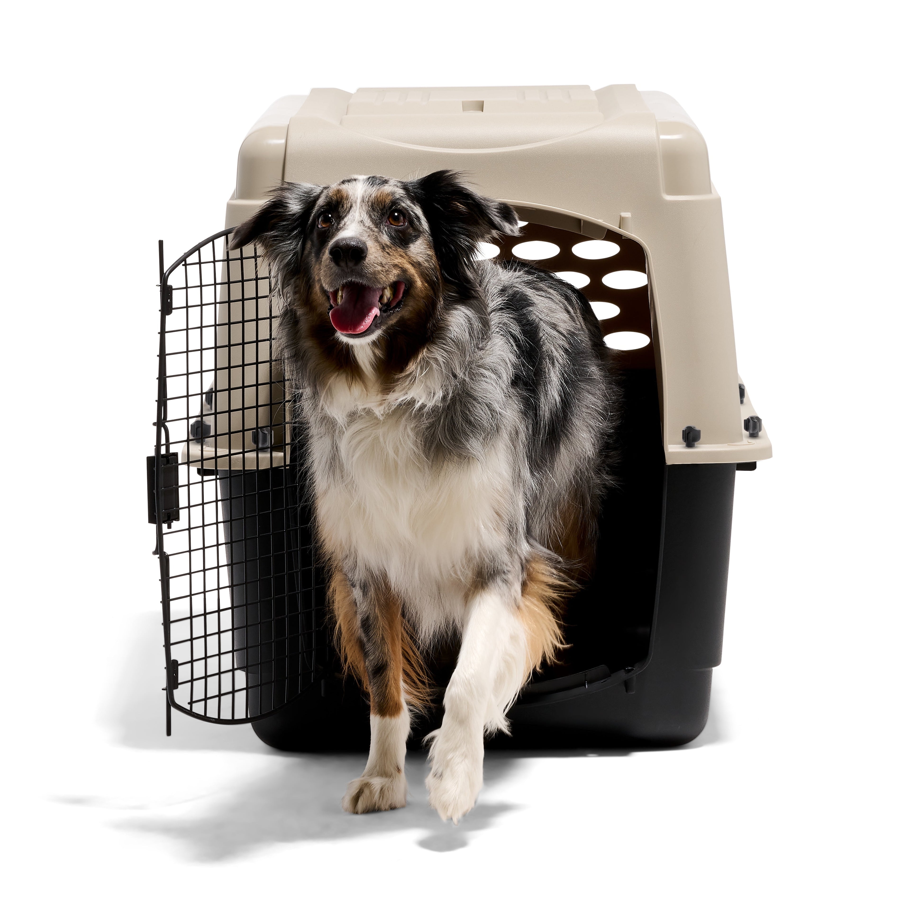 Petmate Vari Dog Kennel Plastic Portable Travel Crate Airline Friendly Pet Carrier, Medium to Large 36" for Pets 50-70 lb, Taupe/Black