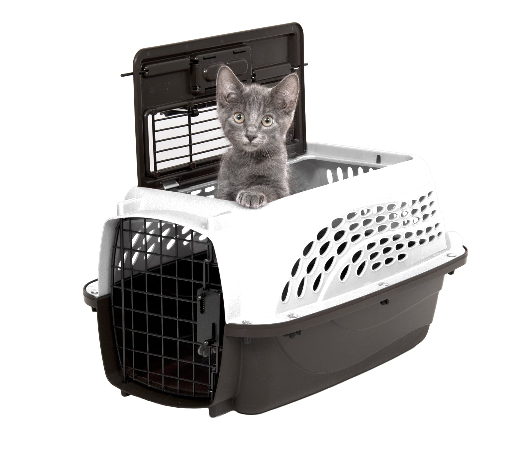 Petmate Two Door Top Load Plastic Travel Dog Kennel Pet Carriers for Dogs and Cats, Small 19" for Dogs Up To 10 lb, White
