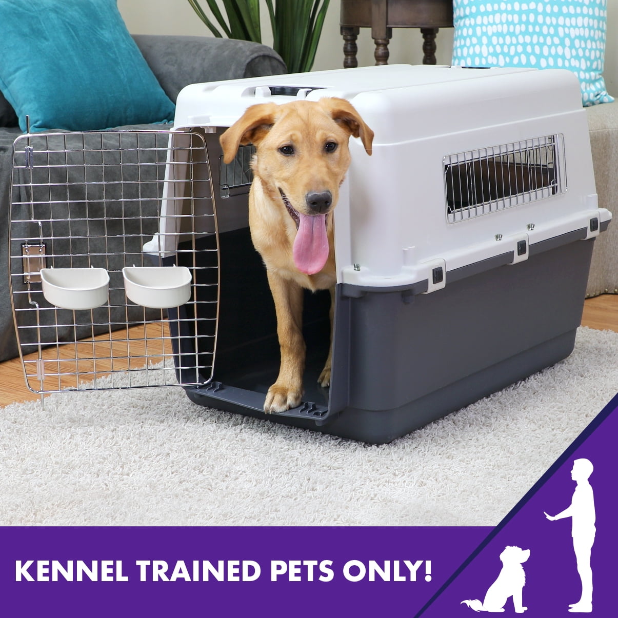 SportPet Designs Plastic Kennel for Dogs & Cats, Wire Door, IATA Airline Approved, Travel Crate, No Wheels, Gray, Small,  24" L x 16" W x 16" H