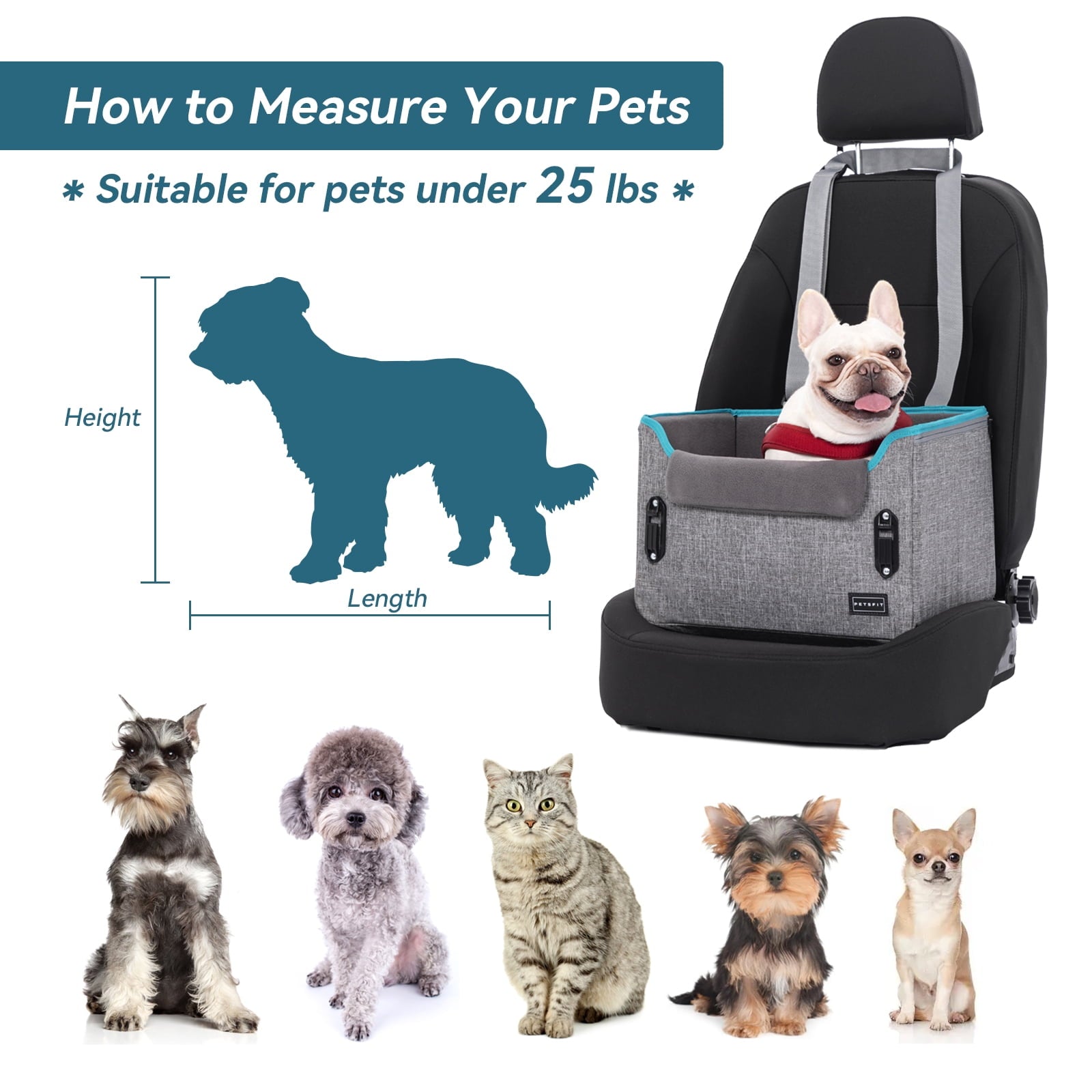 PETSFIT Dog Car Seats for Small Dogs, Portable Dog Booster Car Seat with Patent Safe Buckles,Pets Up to 25lbs ,Grey