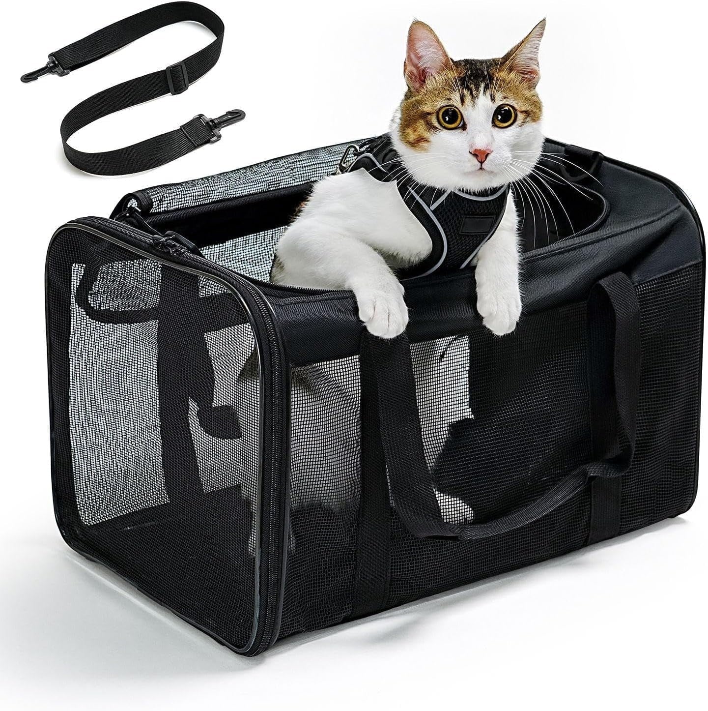 Conlun Cat Carrier,Soft-Sided Cat Carriers with 4-Sided Mesh,Airline Approved Pet Transport Carrier,Collapsible Cat Travel Carrier-Black