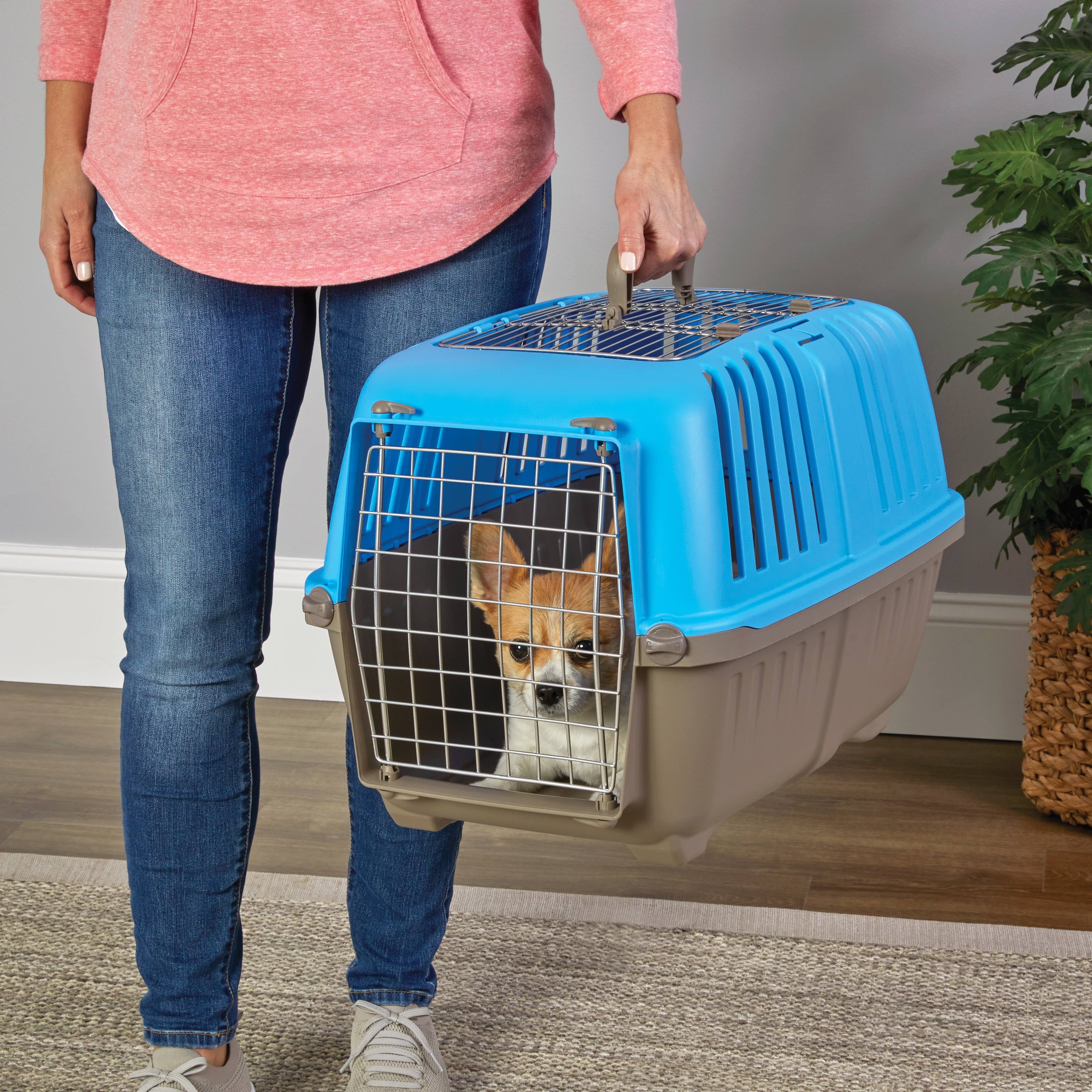 MidWest Homes for Pets 24 inch Top Door Spree Travel Pet Carrier for Dog/Cat with Steel Door, Green