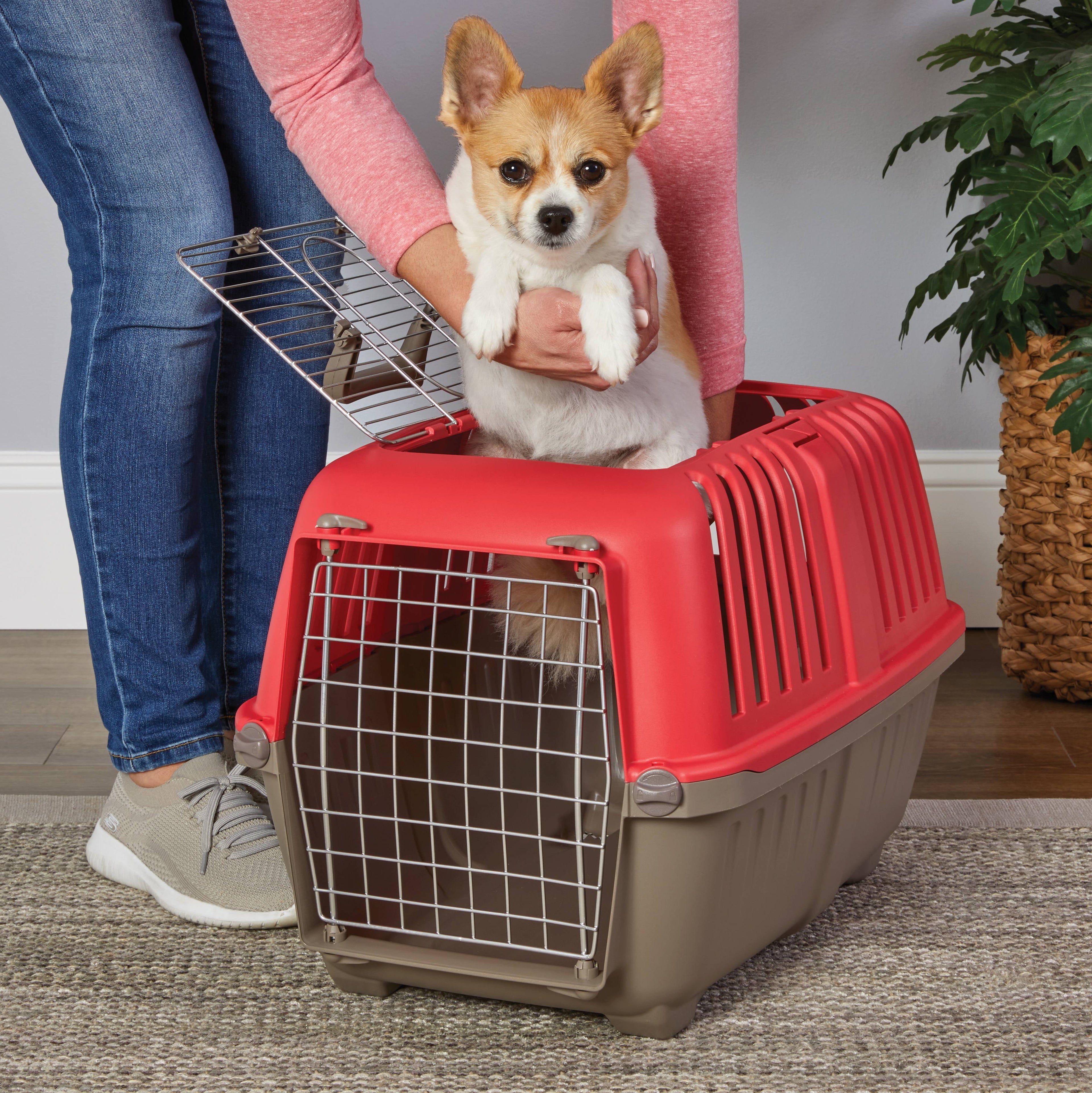 MidWest Homes for Pets 24 inch Top Door Spree Travel Pet Carrier for Dog/Cat with Steel Door, Green