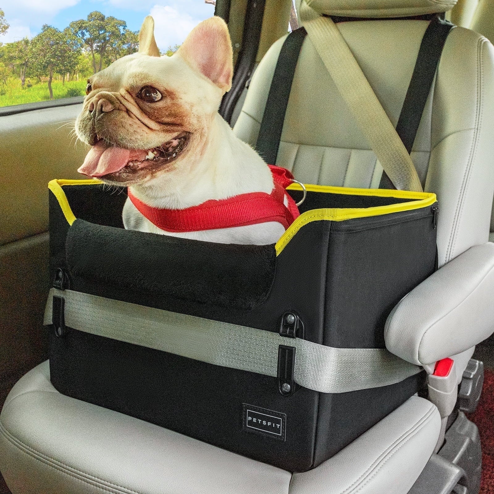 PETSFIT Dog Car Seats for Small Dogs, Portable Dog Booster Car Seat with Patent Safe Buckles,Pets Up to 25lbs ,Grey