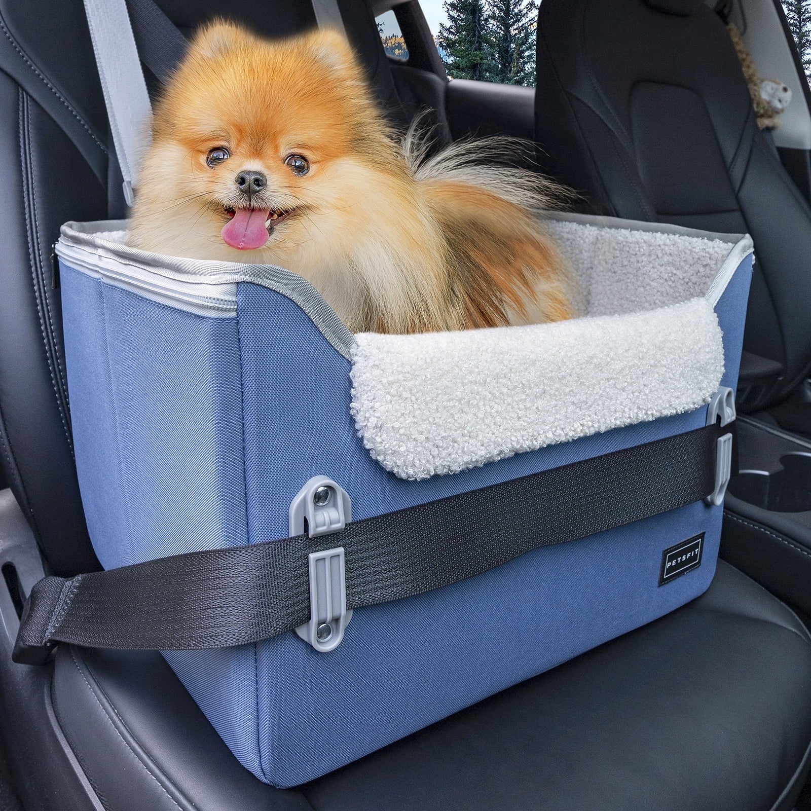 PETSFIT Dog Car Seats for Small Dogs, Portable Dog Booster Car Seat with Patent Safe Buckles,Pets Up to 25lbs ,Grey