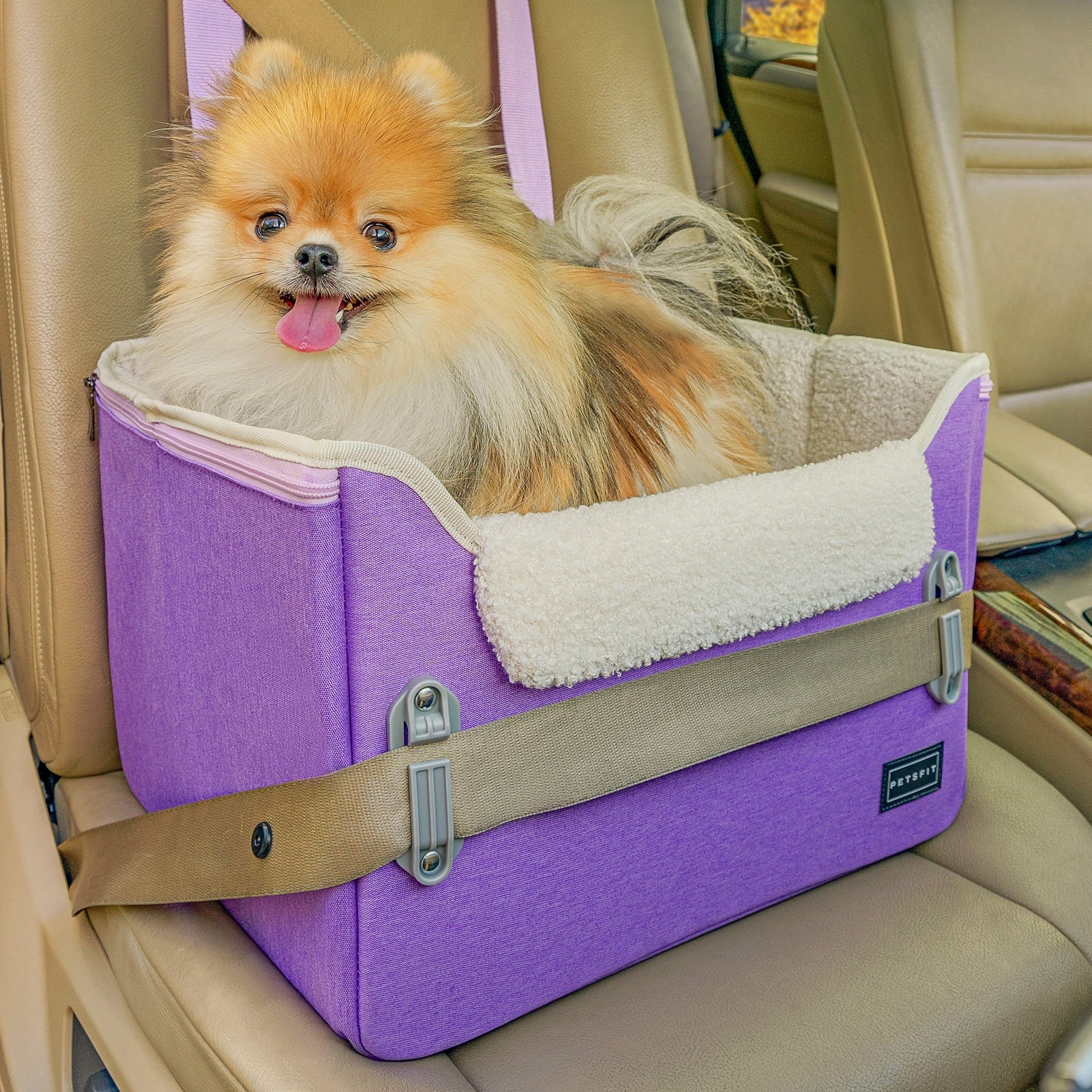 PETSFIT Dog Car Seats for Small Dogs, Portable Dog Booster Car Seat with Patent Safe Buckles,Pets Up to 25lbs ,Grey