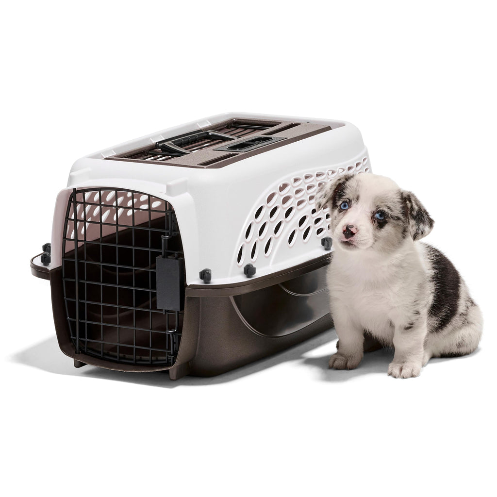 Petmate Two Door Top Load Plastic Travel Dog Kennel Pet Carriers for Dogs and Cats, Small 19" for Dogs Up To 10 lb, White