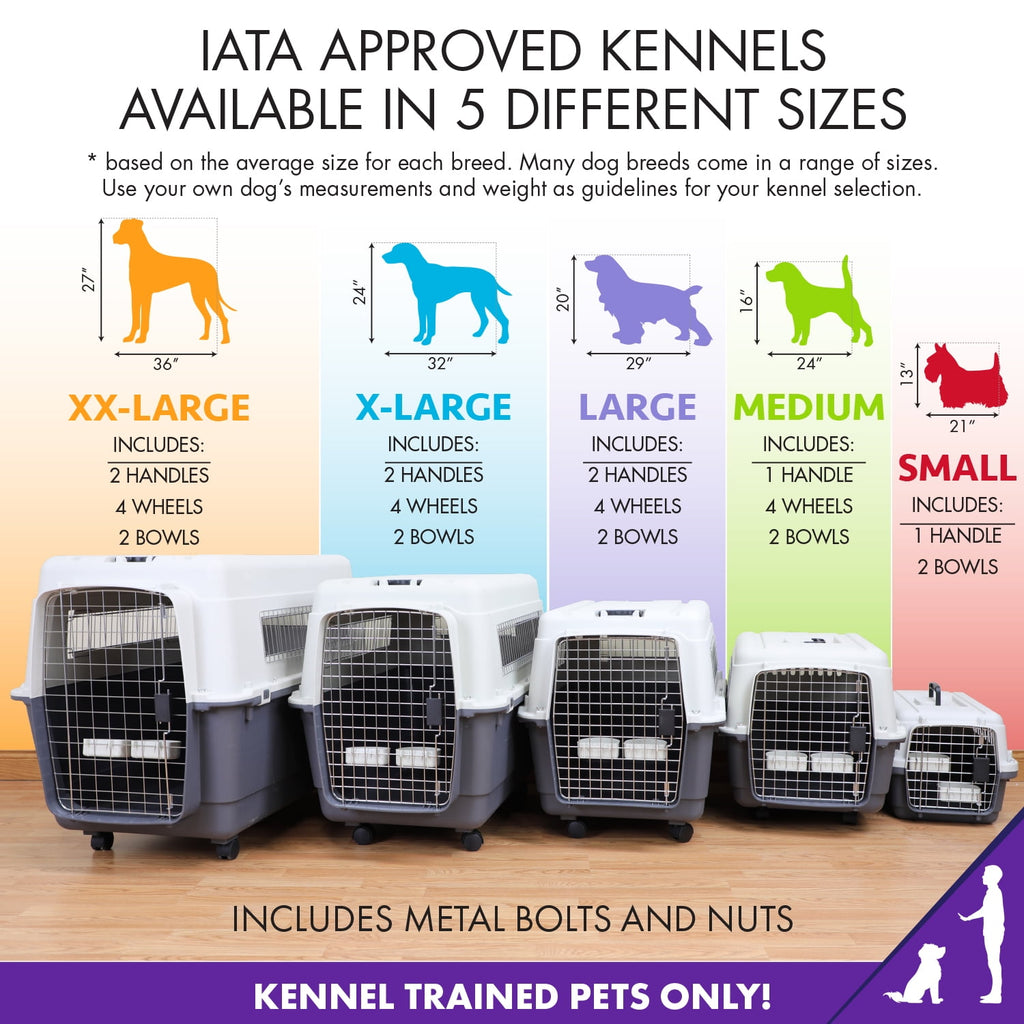 SportPet Designs Plastic Kennel for Dogs & Cats, Wire Door, IATA Airline Approved, Travel Crate, No Wheels, Gray, Small,  24" L x 16" W x 16" H