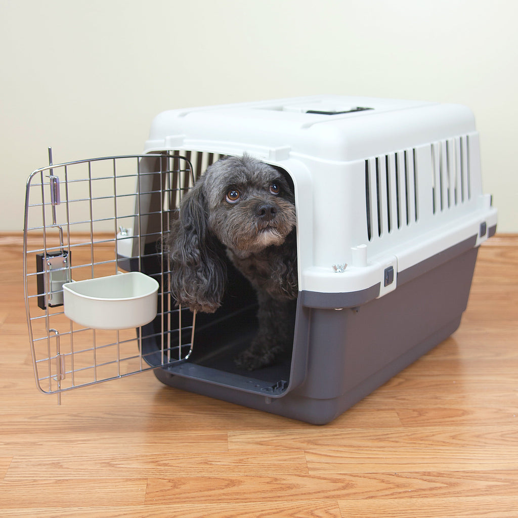 SportPet Designs Plastic Kennel for Dogs & Cats, Wire Door, IATA Airline Approved, Travel Crate, No Wheels, Gray, Small,  24" L x 16" W x 16" H