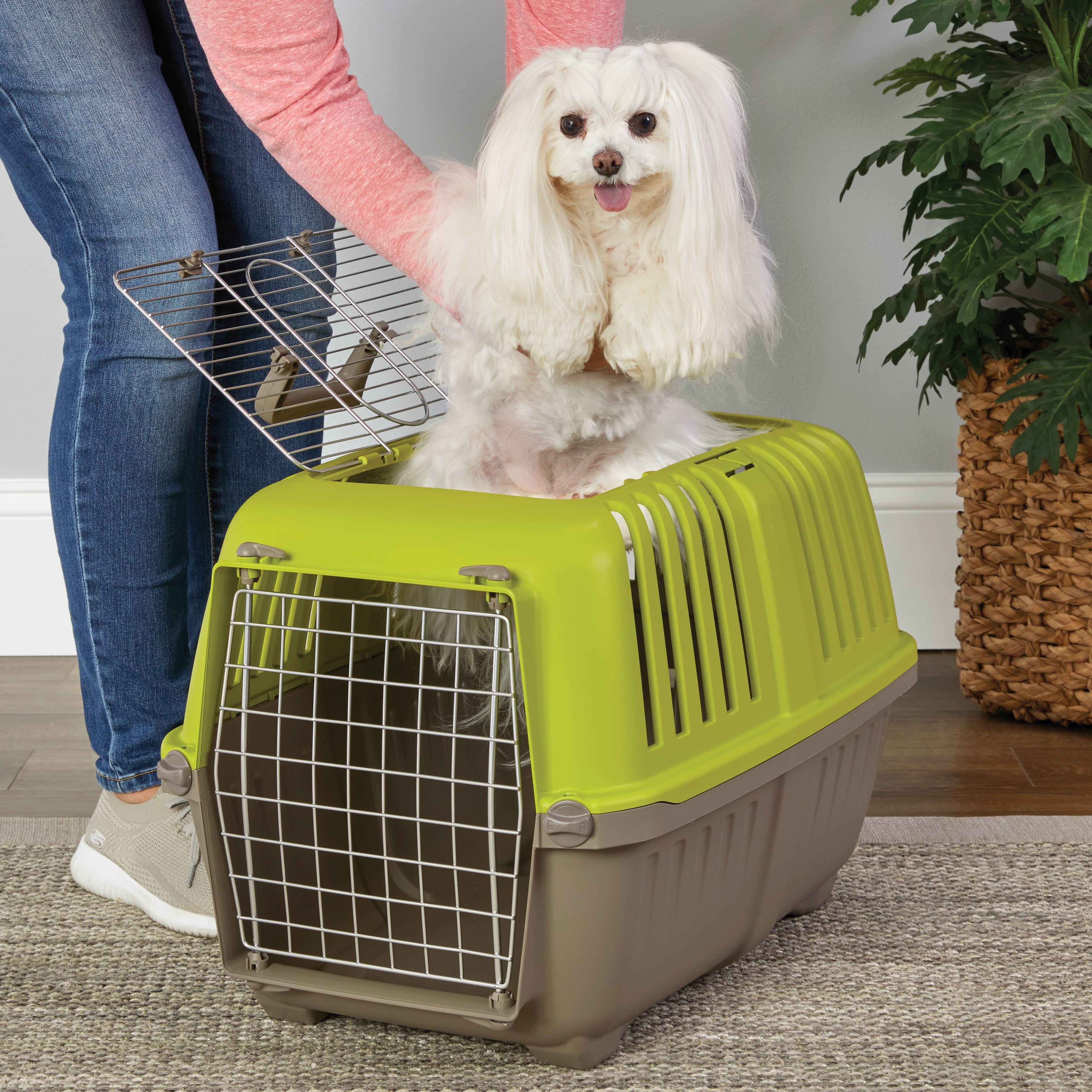 MidWest Homes for Pets 24 inch Top Door Spree Travel Pet Carrier for Dog/Cat with Steel Door, Green