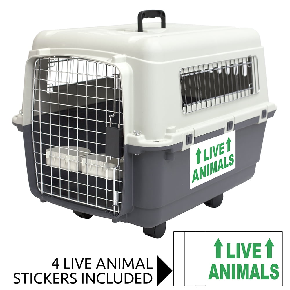 SportPet Designs Plastic Kennel for Dogs & Cats, Wire Door, IATA Airline Approved, Travel Crate, No Wheels, Gray, Small,  24" L x 16" W x 16" H
