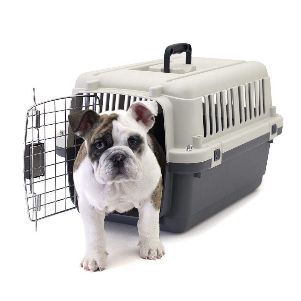 SportPet Designs Plastic Kennel for Dogs & Cats, Wire Door, IATA Airline Approved, Travel Crate, No Wheels, Gray, Small,  24" L x 16" W x 16" H