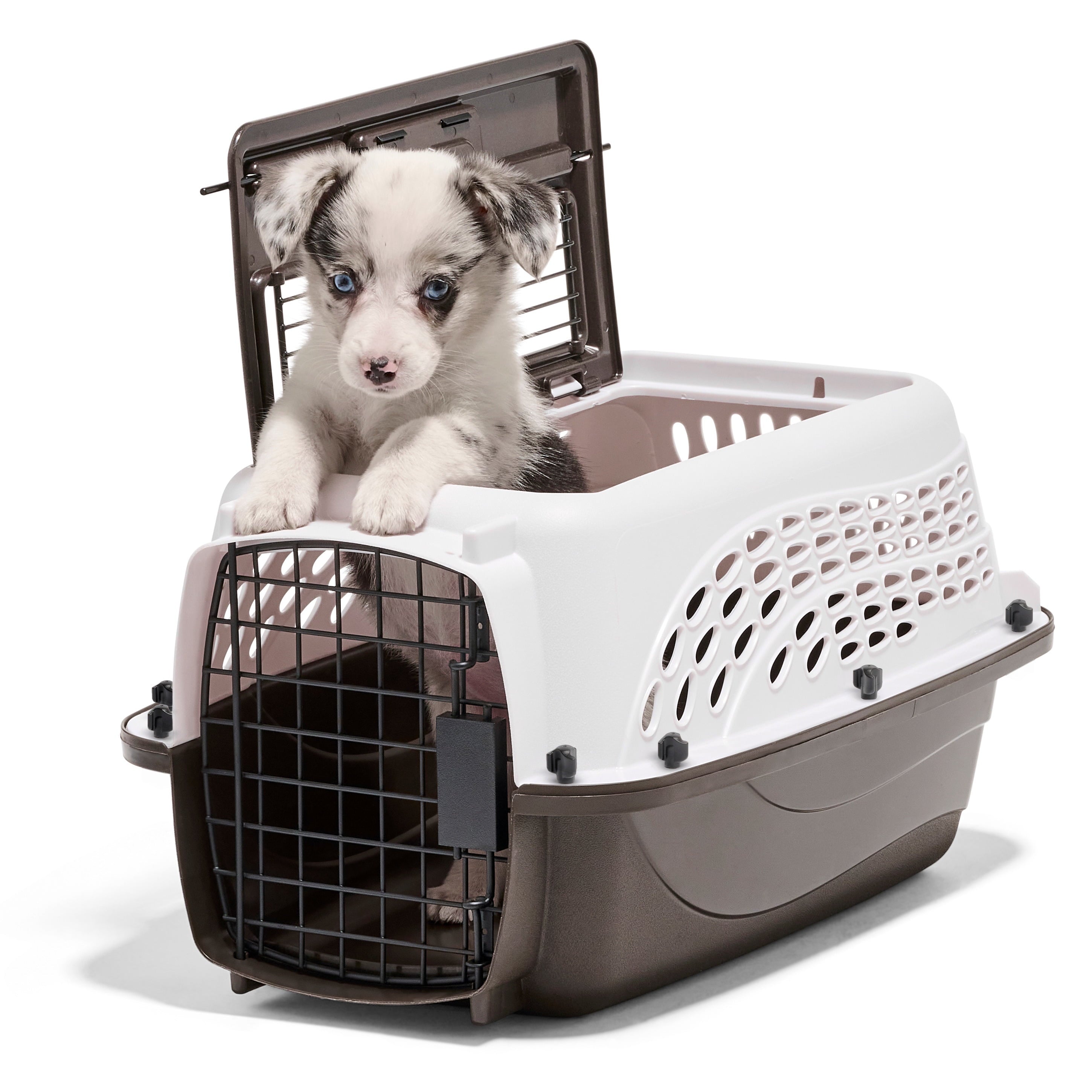 Petmate Two Door Top Load Plastic Travel Dog Kennel Pet Carriers for Dogs and Cats, Small 19" for Dogs Up To 10 lb, White