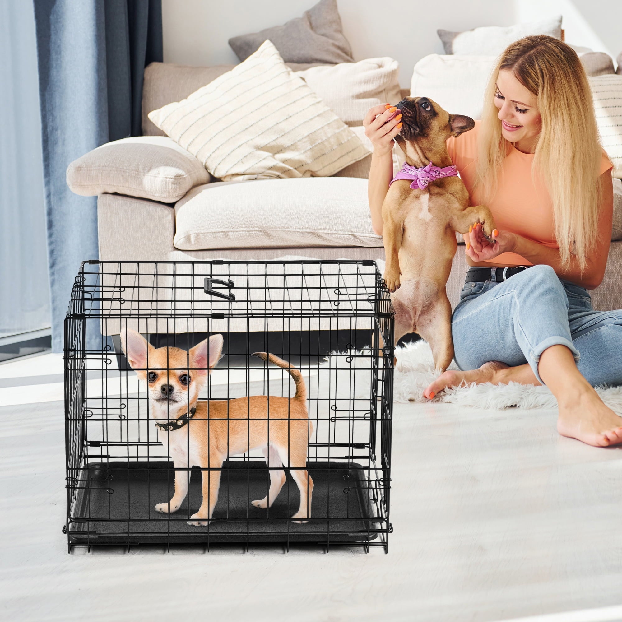 CONCETTA 24 inch Single-Door Folding Dog Crate, Portable Small Cage with Leak-Proof Pan Tray